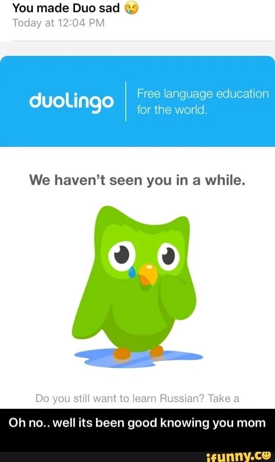 Duolingo купить. Дуолинго. Сова Дуолинго. Duolingo мемы. Duolingo злой.