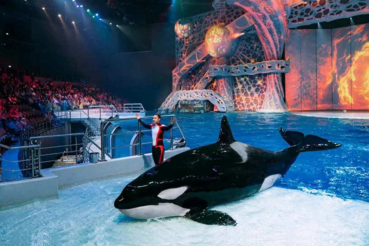 фестиваль масленица 2020 в москве. день россии 2018 на красной площади. фестиваль московская масленица. парк остров мечты в москве. куда сходить в москве представления.