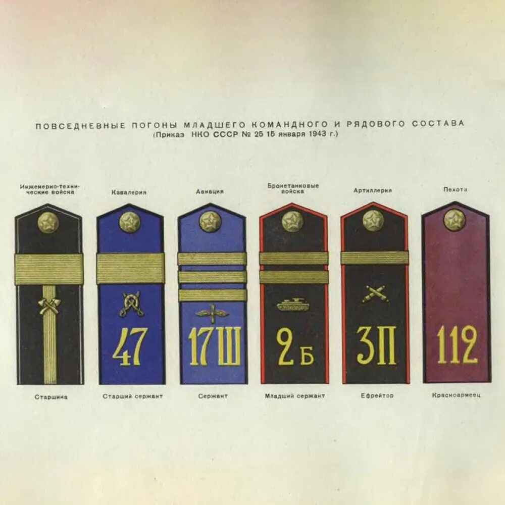 Погоны младшего состава. Погоны красной армии 1943. Погоны сержанта РККА 1943. Погоны старшины РККА 1943 года. Погоны РККА 1943 по родам войск.