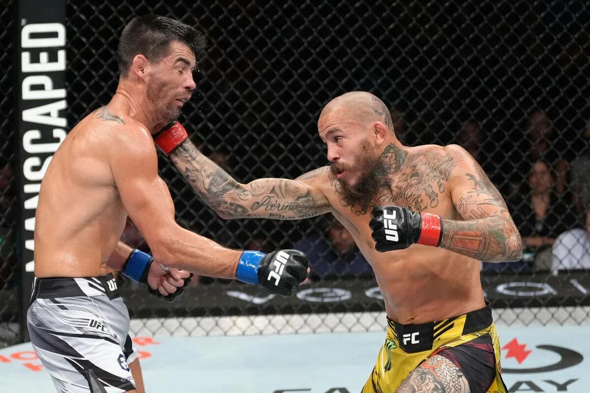 Ufc on espn прямая трансляция. Marlon vera ufc.