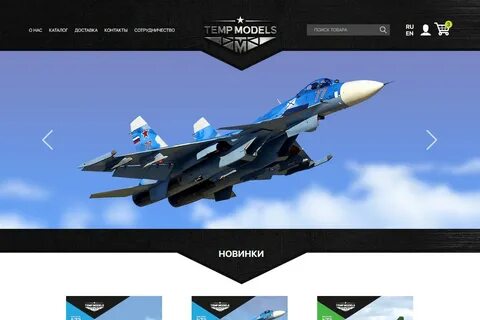 Temp models