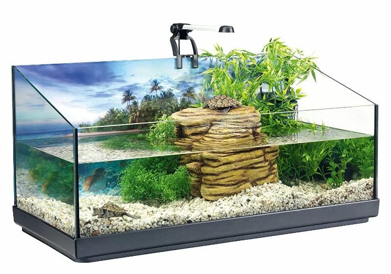 Авито аквариум для черепахи. Акватеррариум Tetra Repto AQUASET 80л, 76x38x37см. Tetra REPTOAQUASET аквариум. Акватеррариум 80-100 л. Черепашник тетра.