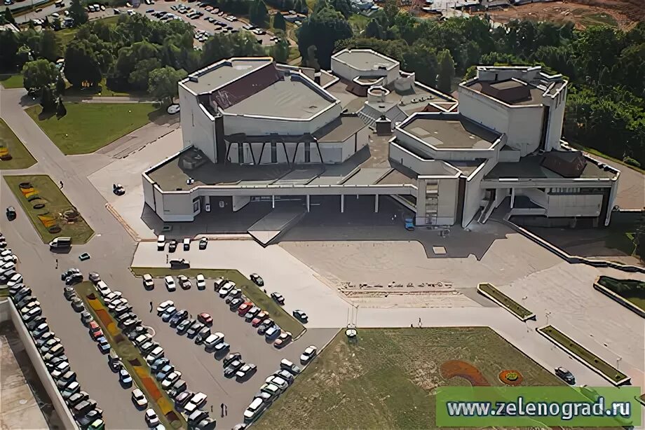 Культура зеленограда