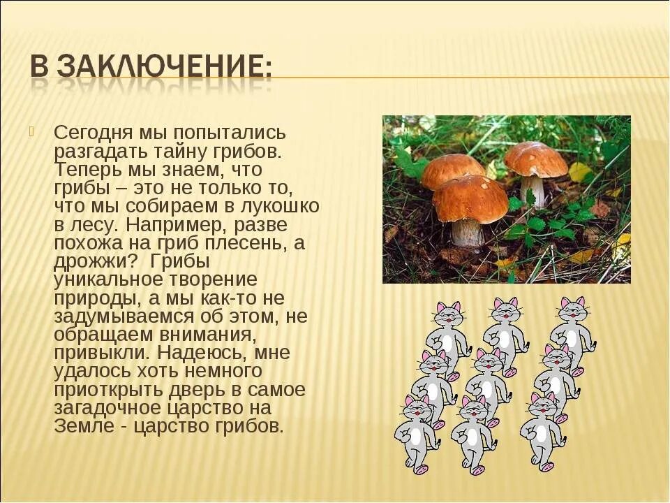 К какому царству относятся грибы 5 класс. Проект царство грибов. Биология 5 класс тема царство грибов. Доклад про грибы. Проект про грибы.