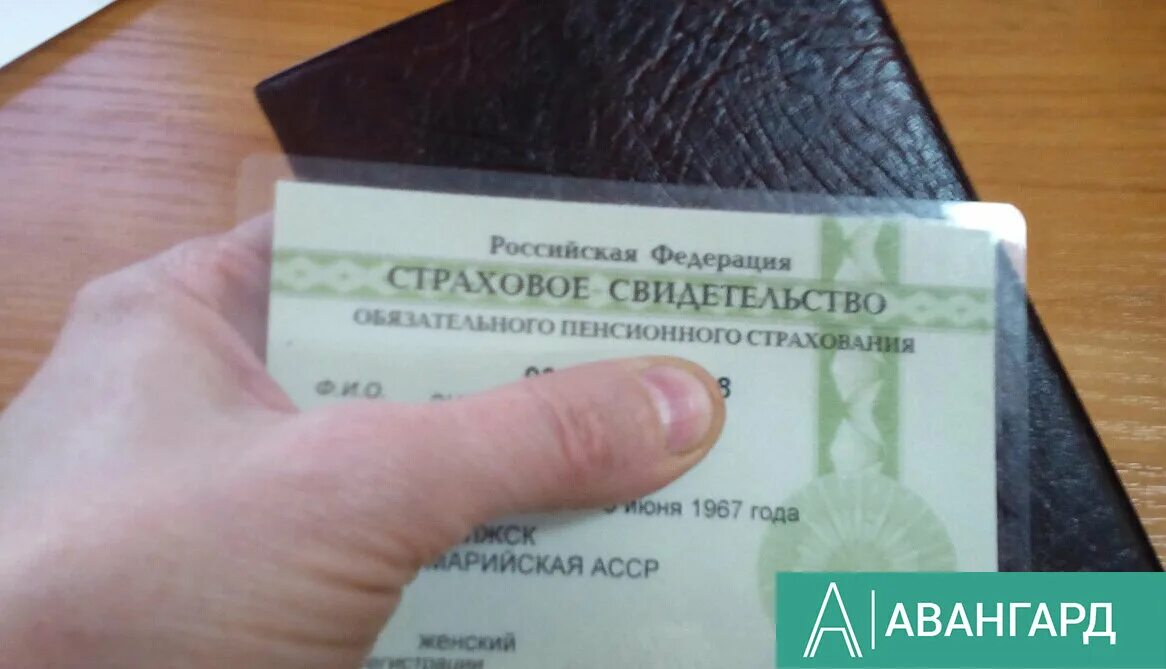 Утерян снилс. Номер снилс. Утерян снилс. Номер снилс. Синисл.