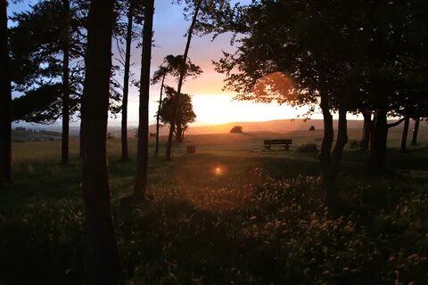 Late evening