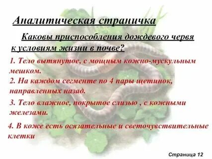 Дождевые черви функциональная грамотность 3 класс презентация