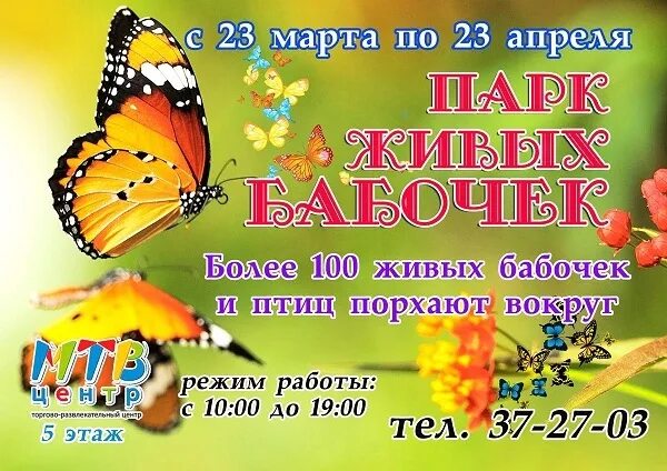 Динозавры в чебоксарах мтв центр. Репертуар кинотеатров саратова. Прогород чебоксары. Афиша мтв центр. Мтв список магазинов.