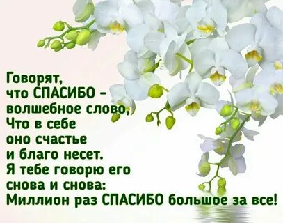 Особые слова благодарности за тяжелый