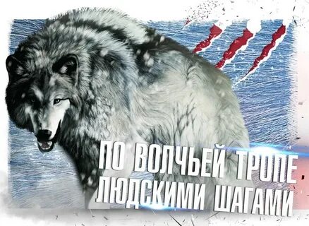 Тропою волка