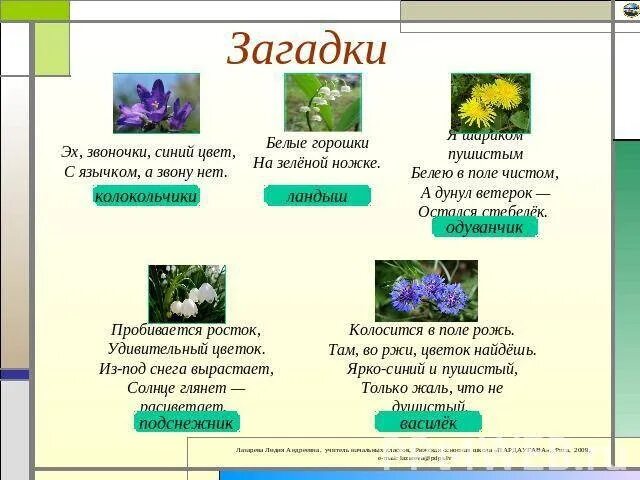 Загадки про растения. Загадки про цветы. Загадки про растения с ответами. Загадки про цветы и растения. 5 загадок по биологии