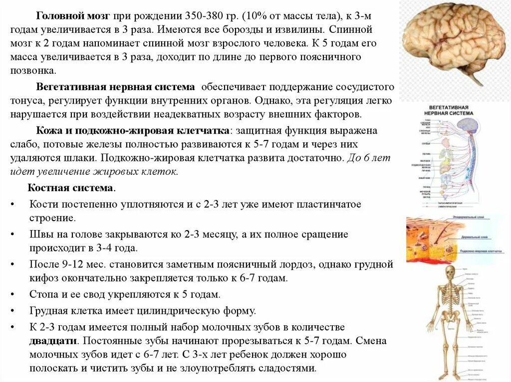 Возрастные изменения головного мозга. Возрастные изменения головного мозга анатомия. Возрастные особенности анатомия. Возрастная анатомия и физиология ребенка. Возрастная анатомия физиология и гигиена.