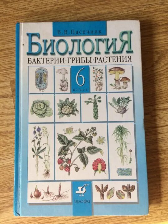 Пасечник ботаника 6 класс. Пасечник биология ботаника. Пасечник биология Вертикаль 6 класс. Пасечник в. в. биология. 6 Класс // Дрофа.. Биология 6 класс учебник пасечник 2023 читать