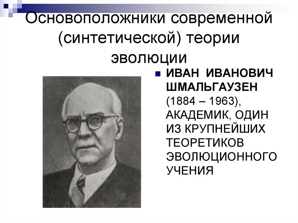 Основатель учения. Шмальгаузен генетика. Шмальгаузен естественный отбор. Шмальгаузен и.и и эволюционного учения. Синтетическая теория эволюции Четвериков Фишер Шмальгаузен.