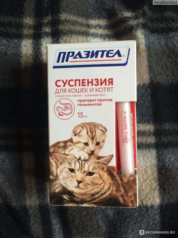 Глистогонное для кошек купить. Глистогонное для кошек суспензия. Глистогонные препараты для кошек таблетки. Антигельминтные препараты для котят. Капли от глистов для котят 3 месяца.