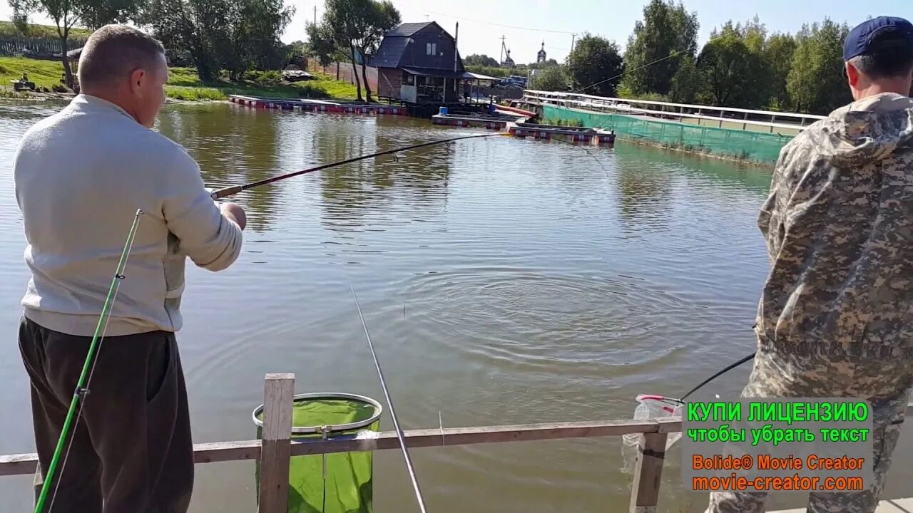 Барыбино рыбалка. Платный пруд в Юсупово Домодедовский район. Рыбалка в Юсупово Домодедовский район. Юсупово платная рыбалка. Рыбалка в Юсупово на форель.