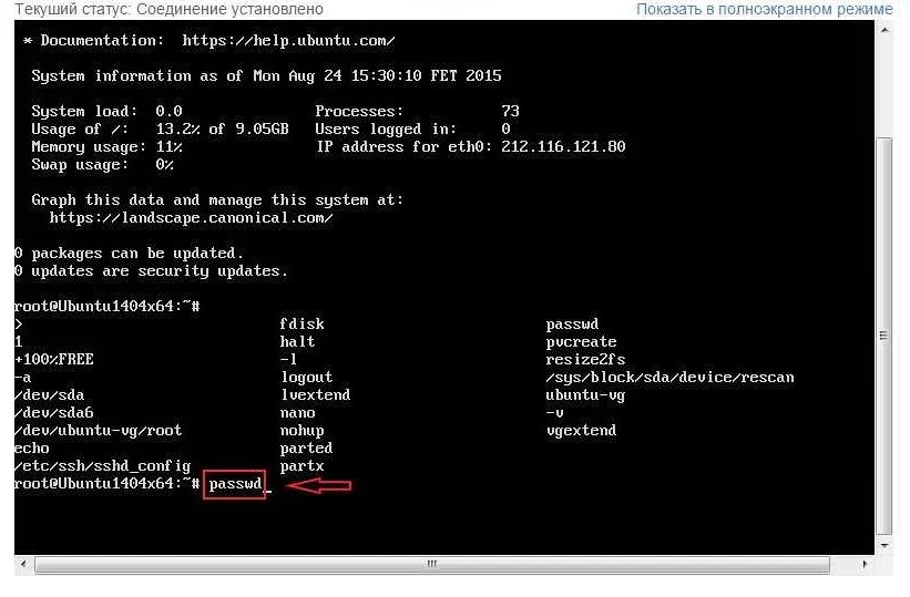 Linux забыли пароль. Смена пароля для пользователя Linux. Смена пароля root Linux. Смена пароля линукс терминал.