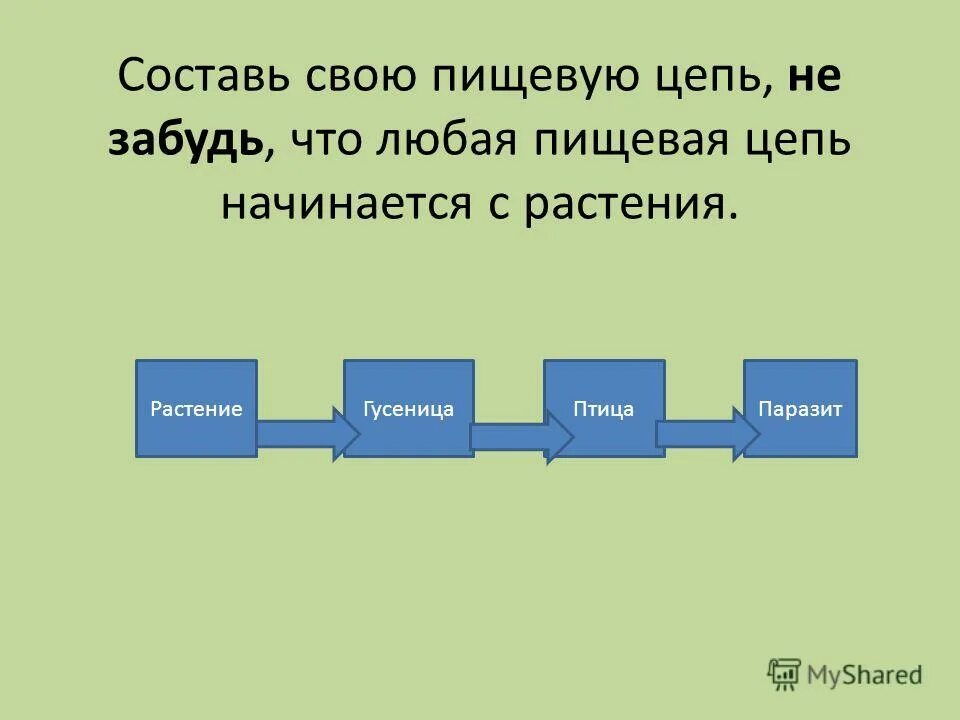 С какого начинается пищевая цепь. Как составить пищевую цепь. Составление пищевых цепочек. Любая пищевая цепочка. Составить цепочку питания.