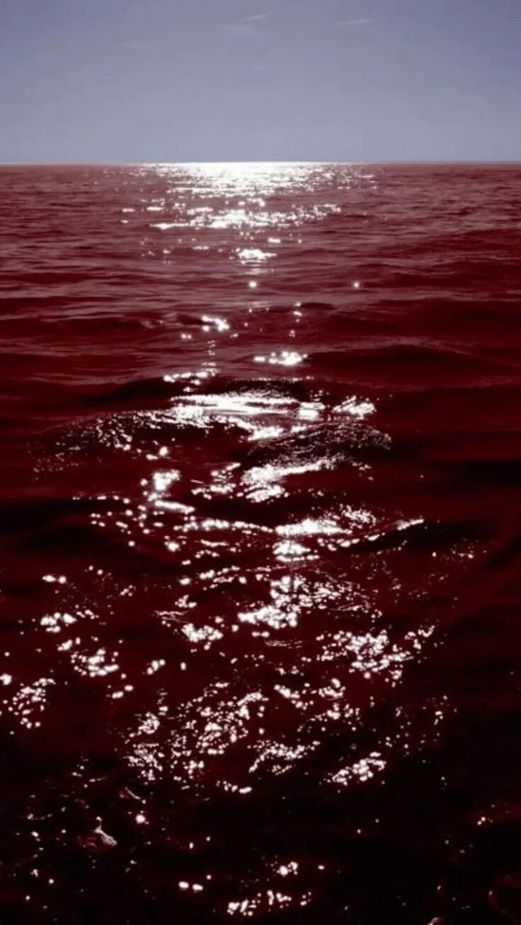 Море красного цвета красное море. Красное море цветение водорослей. Черное море красный цвет. Остров ормуз красный пляж. Остров ормуз иран.