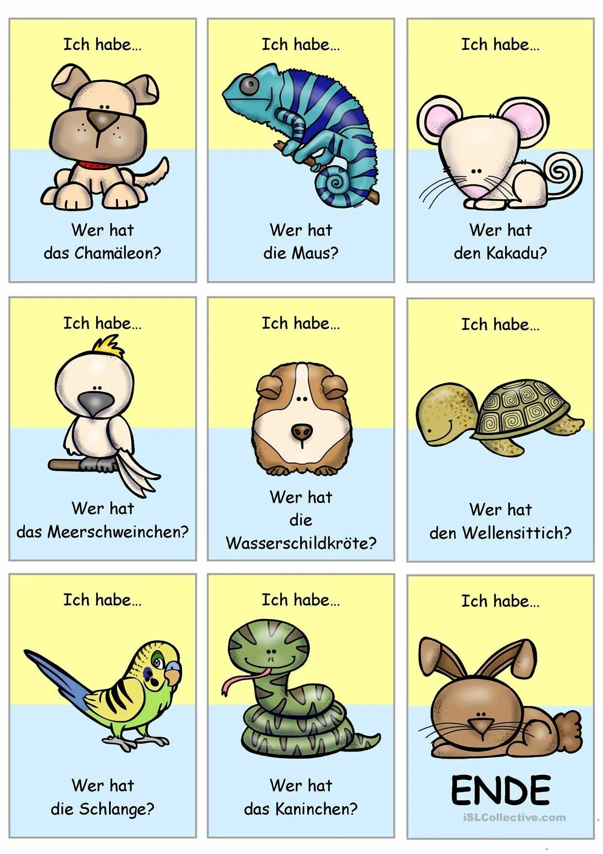 Животные на немецком языке. Животные на немецком Haustiere. Слова животные на немецком. Die Haustiere задания для урока. Wer hat das