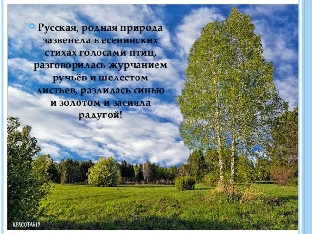 Проект родная природа в поэзии Есенина. Презентация на тему родная природа в стихах Есенина. Стихотворения Есенина о родной земле. Есенинская любовь к родной земле.