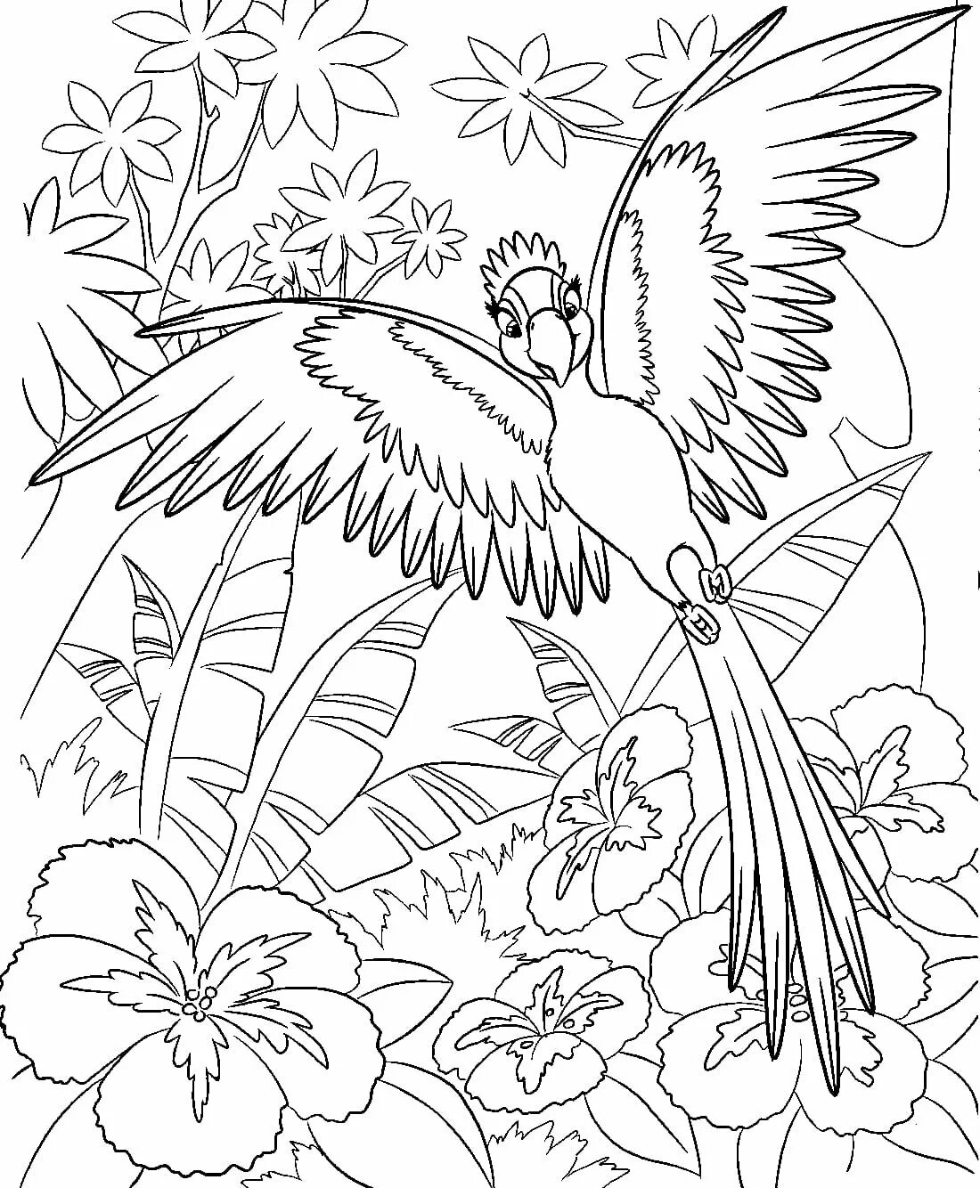 Раскраска попугай. Красивые рисунки для раскрашивания. Птицы. Раскраска. Раскраски Рио.