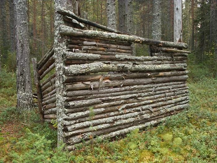 Охотничий Балаган. Лесной Балаган. Балаган в лесу. Балаган в тайге для охоты. Балаган на руинах