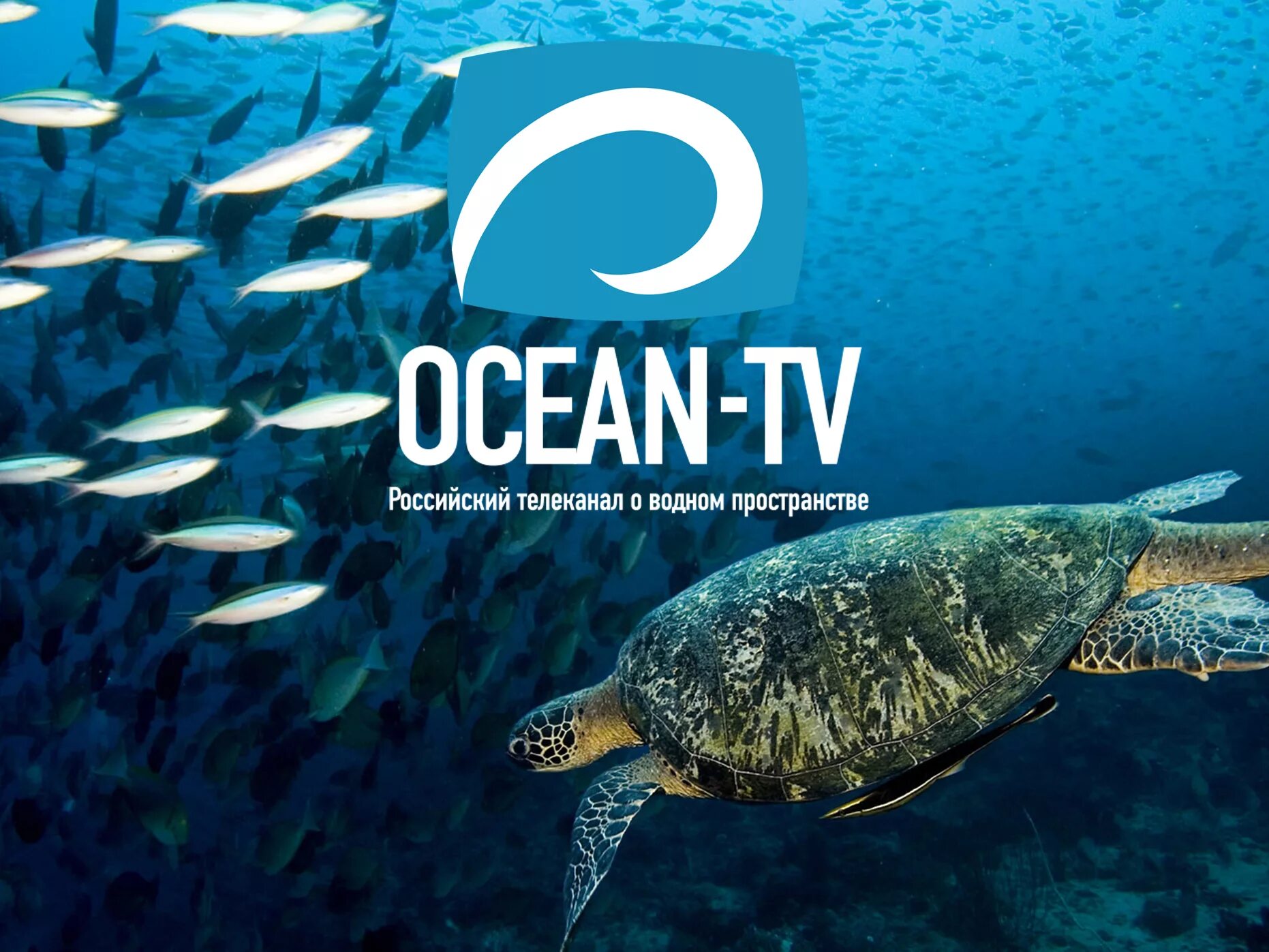 Океан ТВ. Океан ТВ логотип. Каналы в океане. Морской Телеканал. Ocean channel