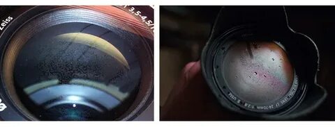 В какой эпизод парада попал объектив фотографа