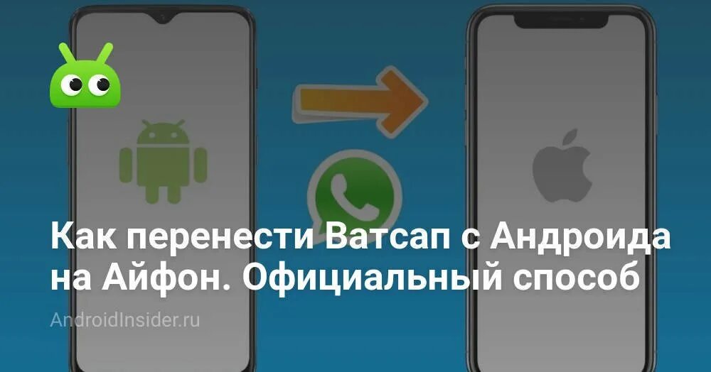 Перенос вотсапа с андроида на айфон. Обновление вацап на айфон. Прикольные функции вацап на айфон. Ватсап фото профиля на андроид. Перенести ватсап на ватсап бизнес айфон