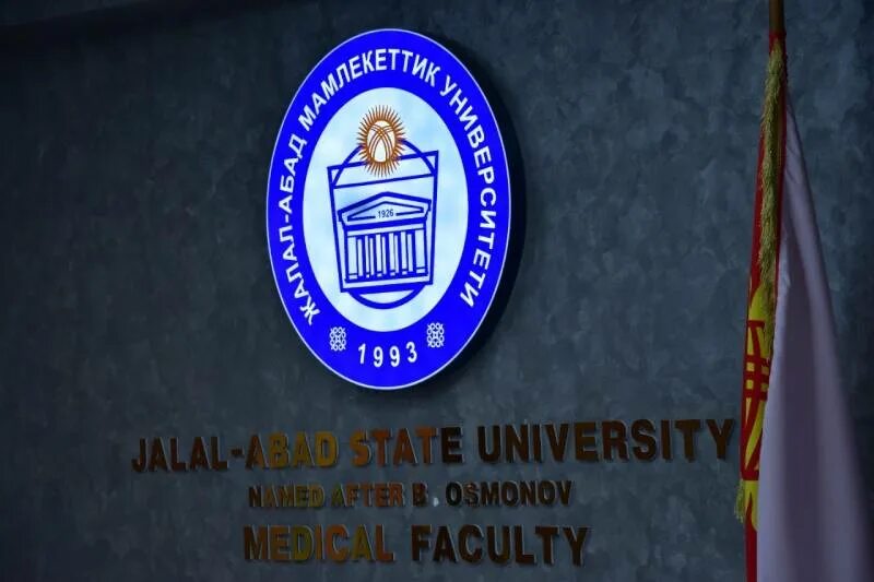 эмма хикс avn. Avn logo. жагу эмблема. джалал абад мед колледж. Avn0684ux.