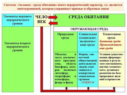 Установите наличие связи между средой обитания