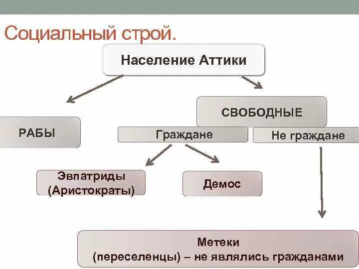Общественная структура древней греции. Государственный строй афин v-iv вв. Социальная структура древней греции. Политический строй спарты. До н.