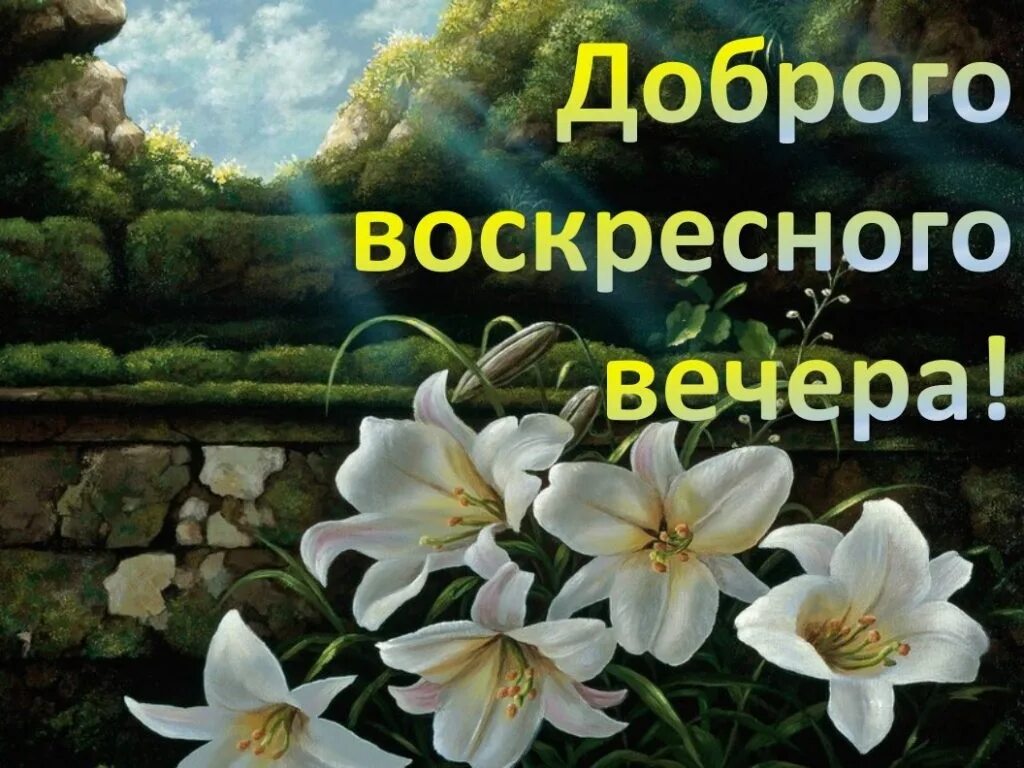 Добро сегодня воскресение. Доброго воскресного вечера. Доброговаскресного вечера. Прекрасного воскресного вечера. Добрый вечер воскресенья.