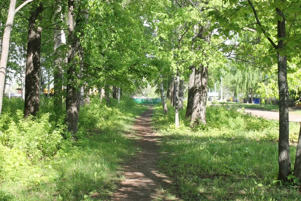 Погода в мичуре еловский