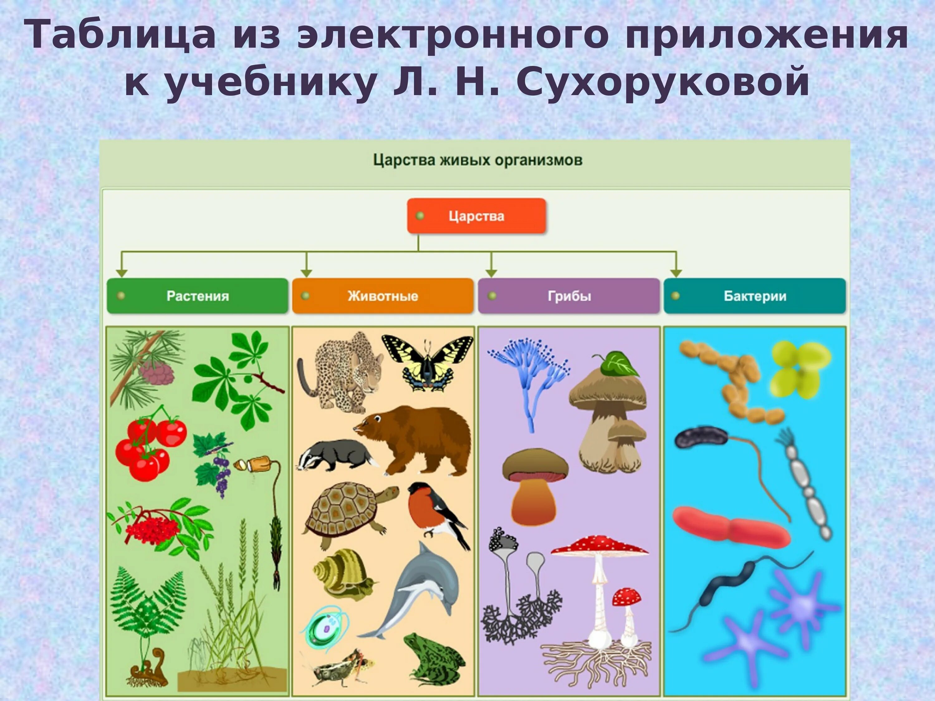 Сколько на земле существует царств. Царство растений животных грибов бактерий вирусов. Царство грибов царство растений царство животных. Царство животных царство растений царство грибов царство бактерий. Царсиваживых организмов.