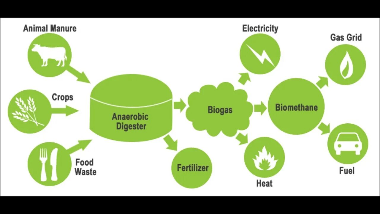 Biogas Production. Биогаз биометан. Биомасса Энергетика.