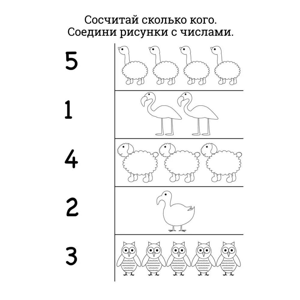 Навыки счета в старшей группе