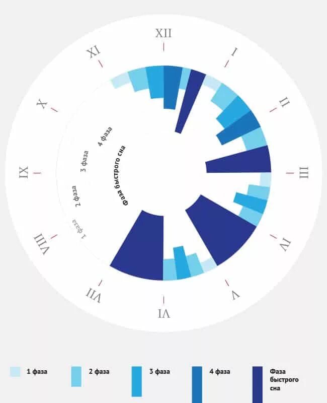 Фазы пробуждения. Фазы сна человека диаграмма. Структура сна. Медленный сон. Циклы сна.