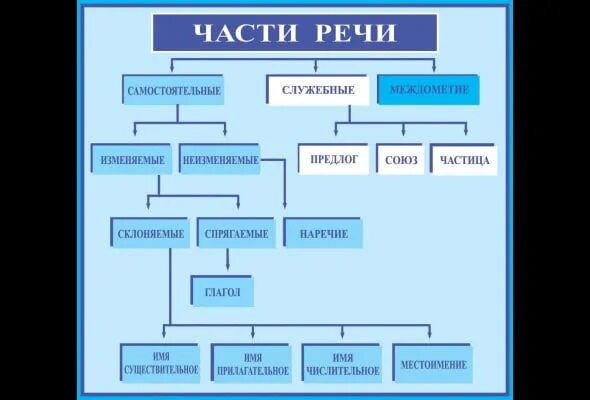 Укажите часть речи тысяча. Система частей речи схема. Система частей речи кластер. Кластер самостоятельные и служебные части речи. Кластер части речи.