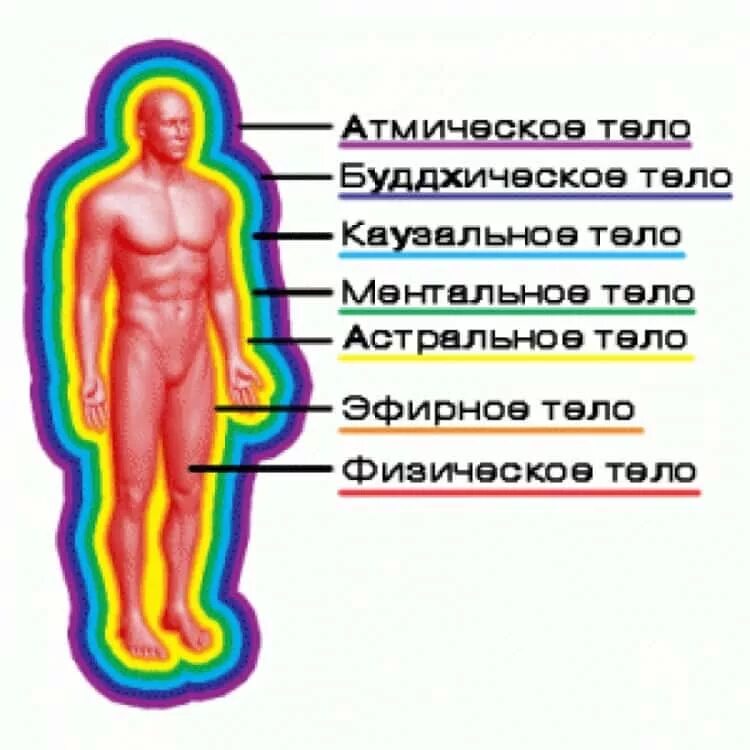 Тело насколько. Строение тонких тел человека. Тонкие тела человека их формы и строение. Строение энергетические тела Аура человека. Тело человека физическое эфирное астральное.