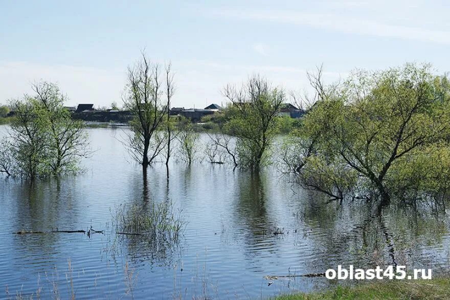 Уровень воды в реке тобол звериноголовское. Река Тобол Курган. Река Тобол Курганская область. Набережная реки Тобол в Кургане. Река Тобол Курганская область фото.