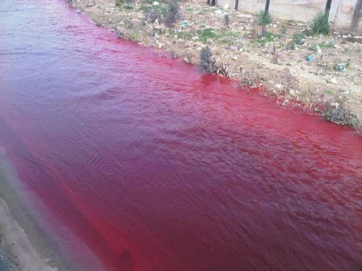 Водоем который окрашивается в нежно розовый цвет