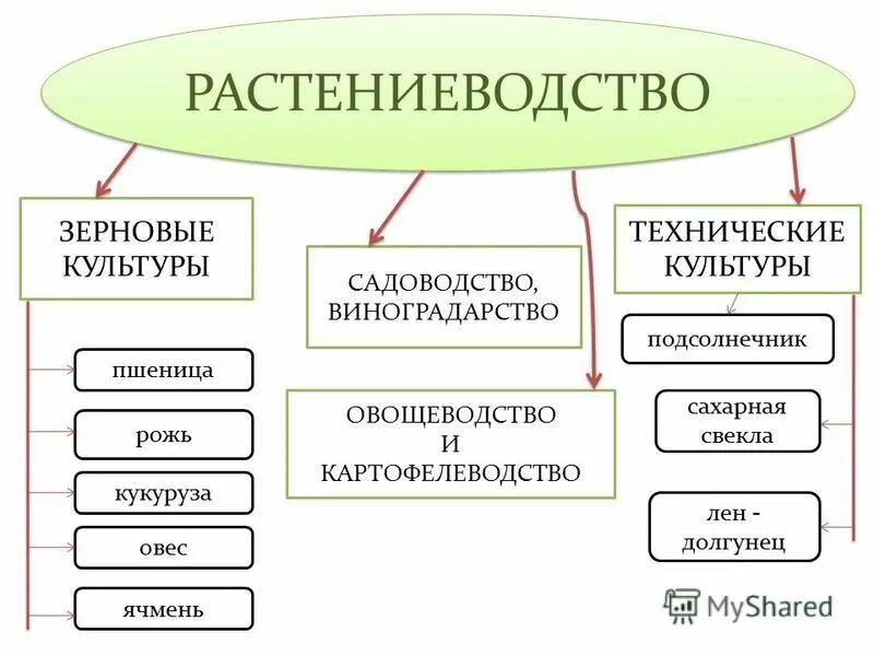 Тема Социализация новая педагогическая реальность План