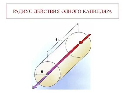 Измерение радиуса