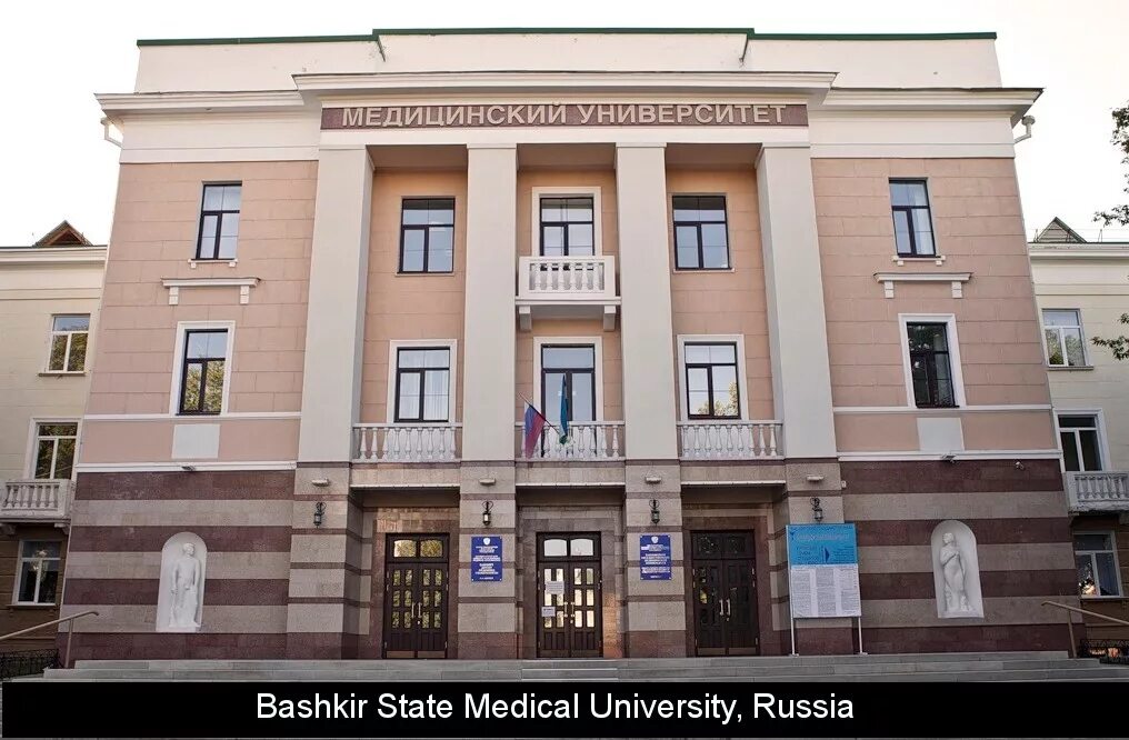 State medical university
