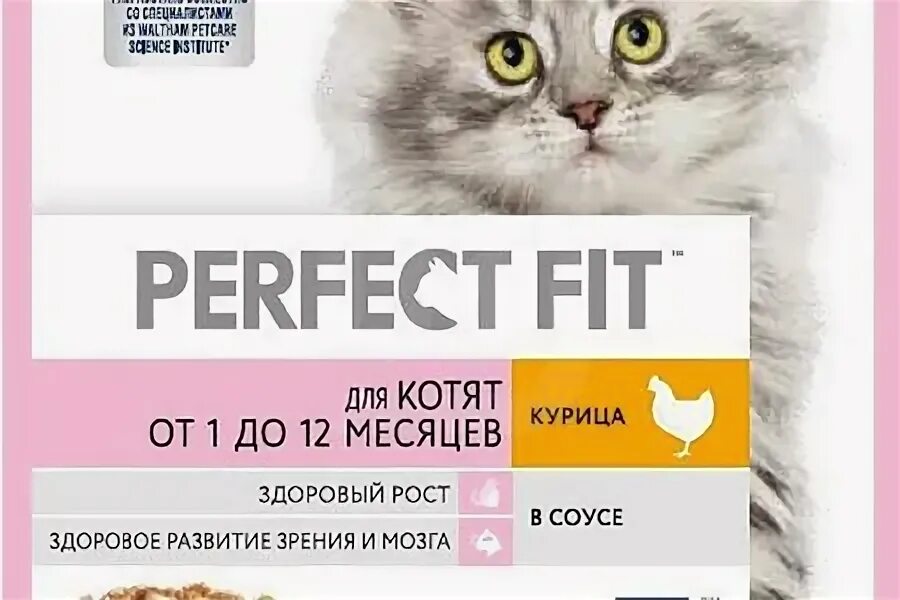 Можно ли котенку вареную курицу. Можно ли котенку вареную курицу