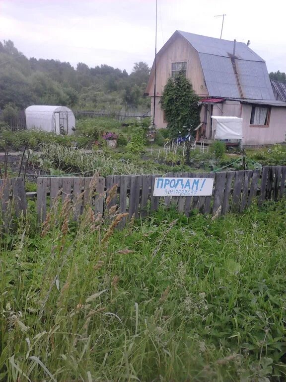 Дачи сокур. Погода порос мошковский. Погода порос мошковский. Посёлок мошково новосибирской. Погода порос мошковский.