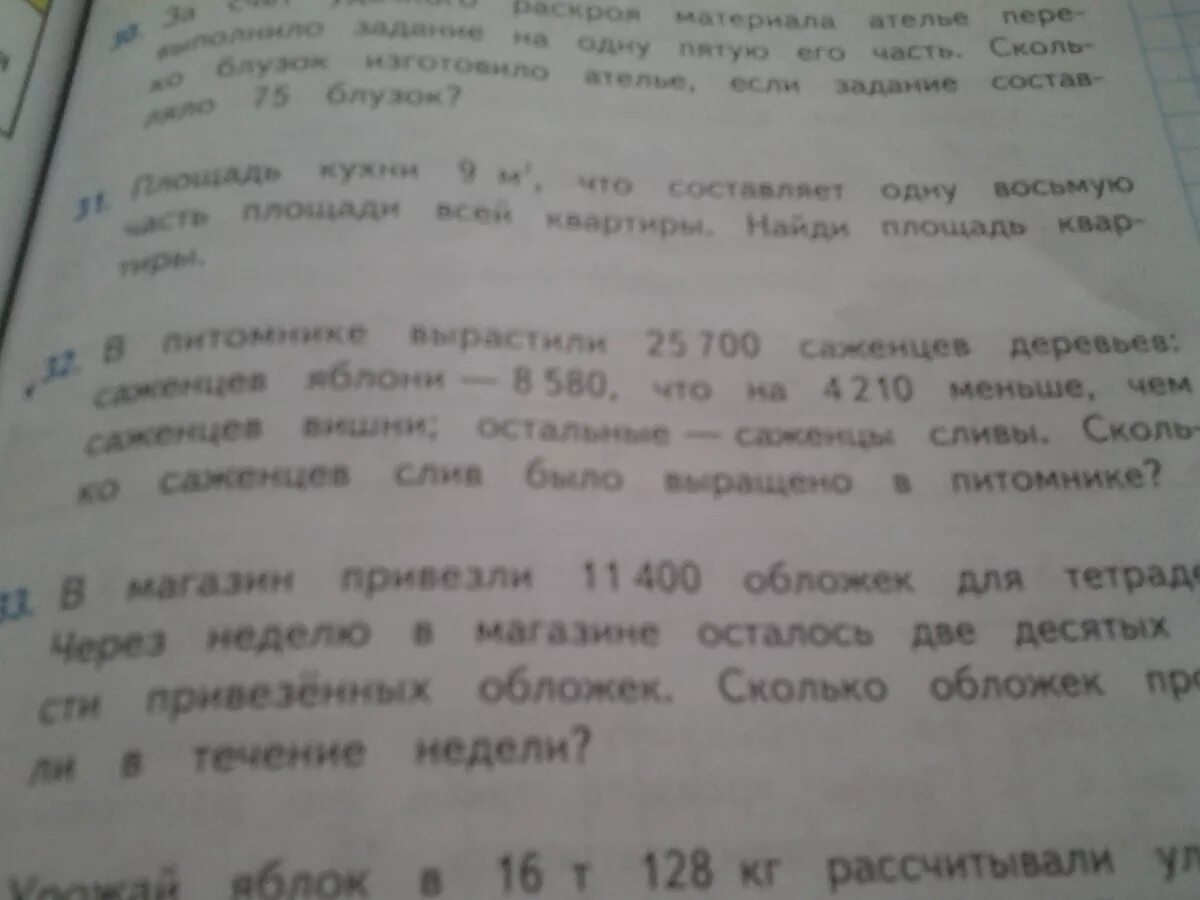 В питомнике вырастили саженцы деревьев елей 360. Реши задачу в питомнике вырастили саженцы деревьев. В питомнике вырастили саженцы деревьев елей. В питомнике вырастили 25700 саженцев деревьев. Задача в питомнике.