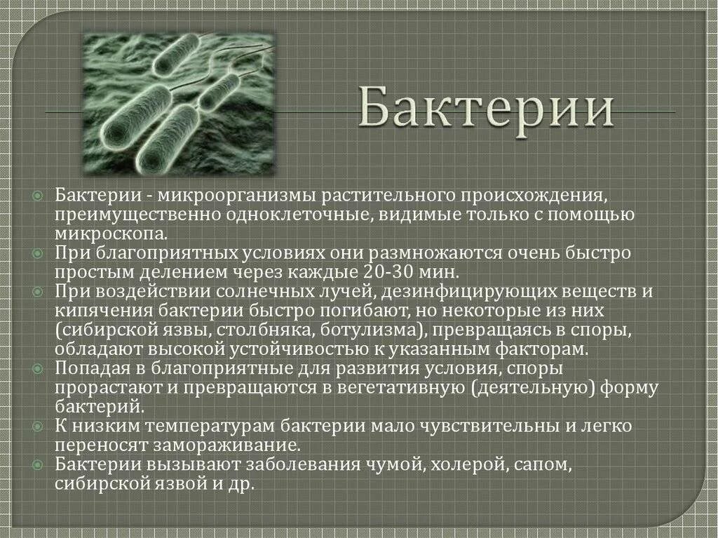 Бактерии гибнут от. Заболевания вызванные микроорганизмами. Информация о бактериях. Болезни вызываемые бактериями. Сообщение о бактериях.